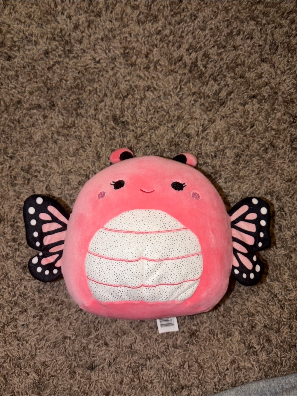 7.5" Andreina The Butterfly Squishmallow 
NWOT